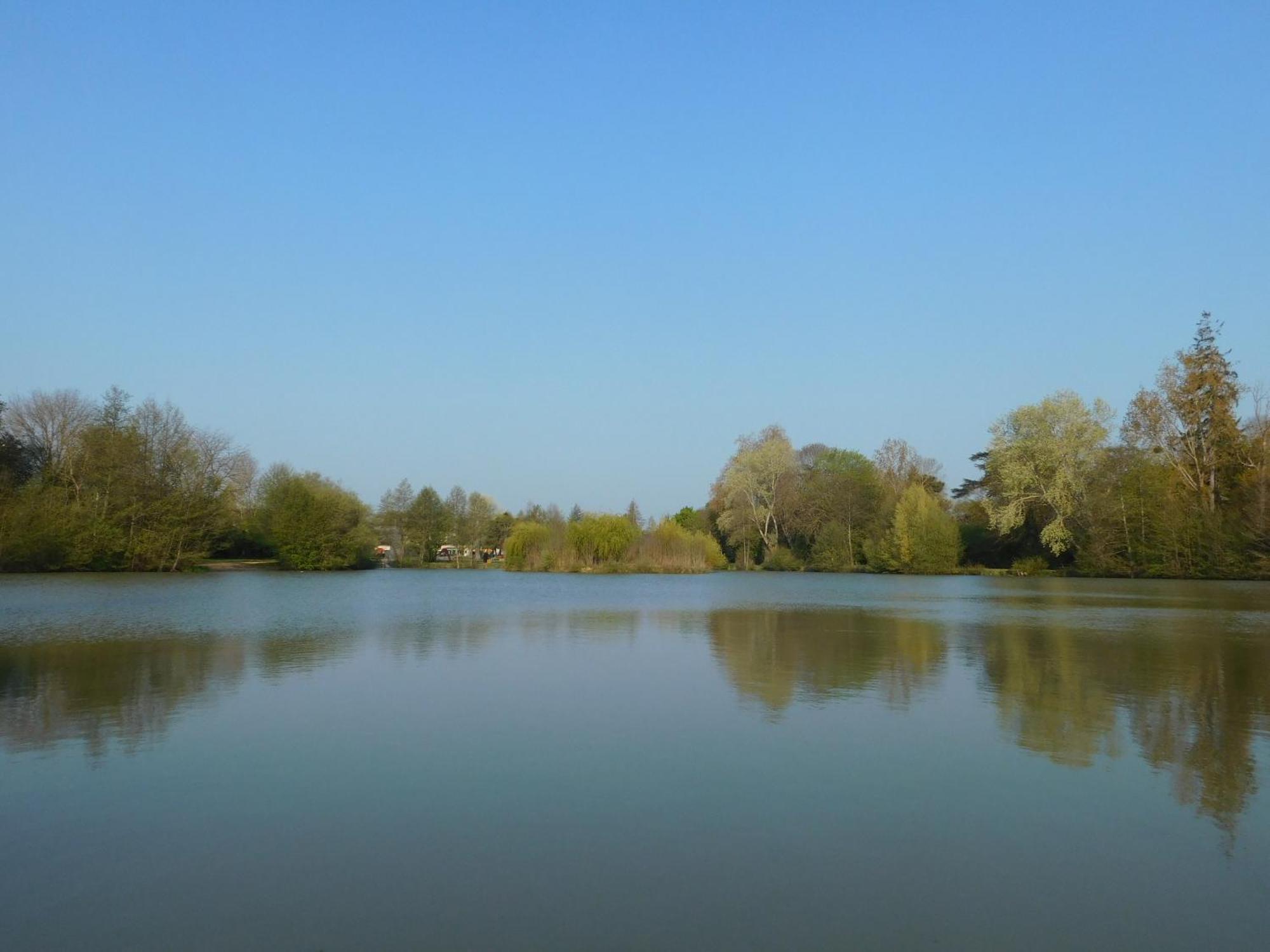 Village De Gites Nature Et Jardin Bouere Exterior foto